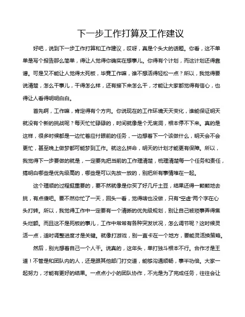 下一步工作打算及工作建议