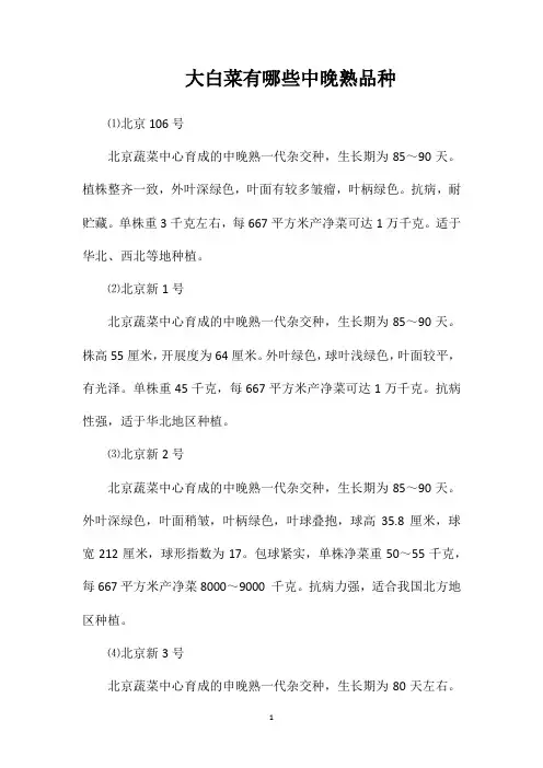 大白菜有哪些中晚熟品种