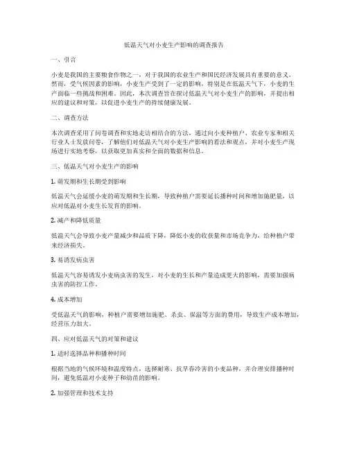 低温天气对小麦生产影响的调查报告