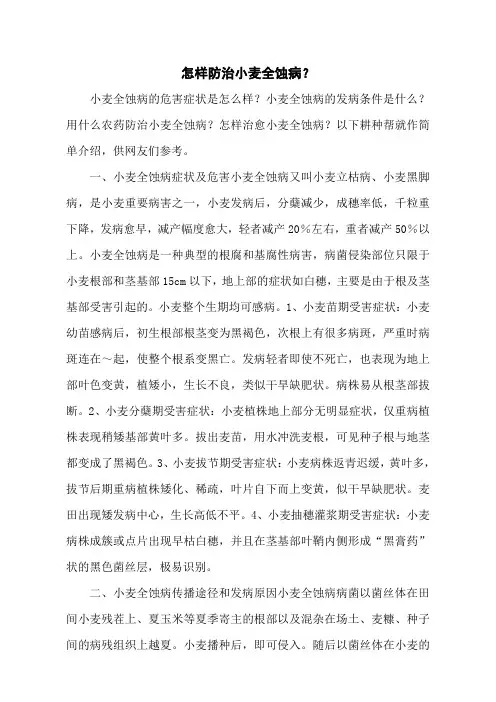 怎样防治小麦全蚀病？