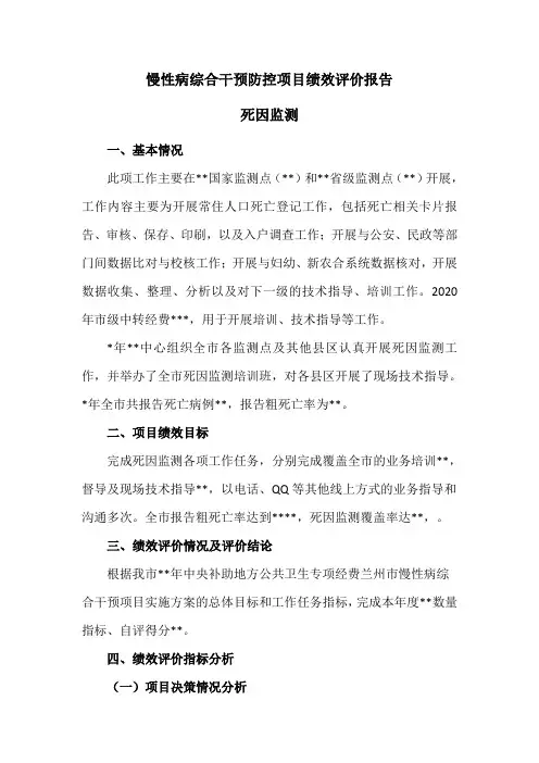 绩效评价报告