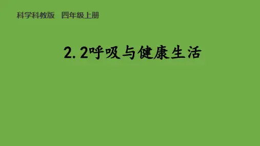 教科版四年级上册科学 2.2 呼吸与健康生活课件(共25张PPT)