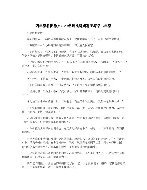 四年级看图作文：小蝌蚪找妈妈看图写话二年级