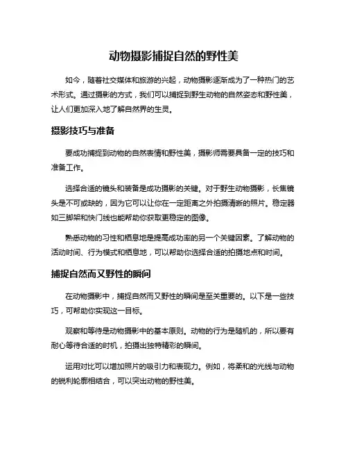 动物摄影捕捉自然的野性美