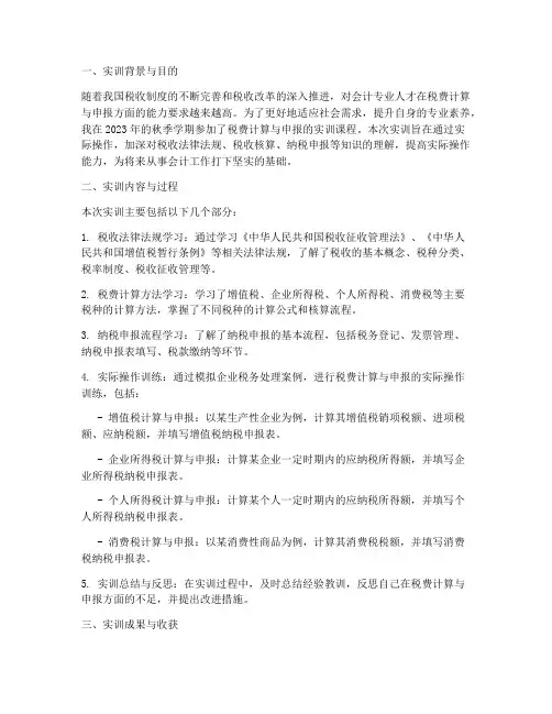 税费的实训报告总结