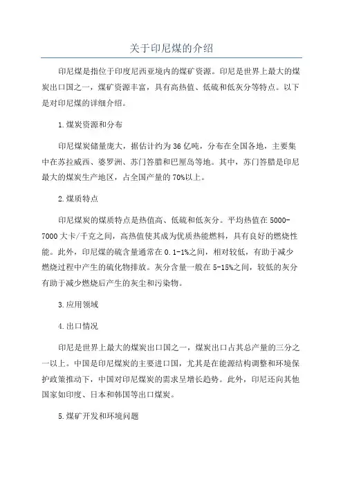 关于印尼煤的介绍
