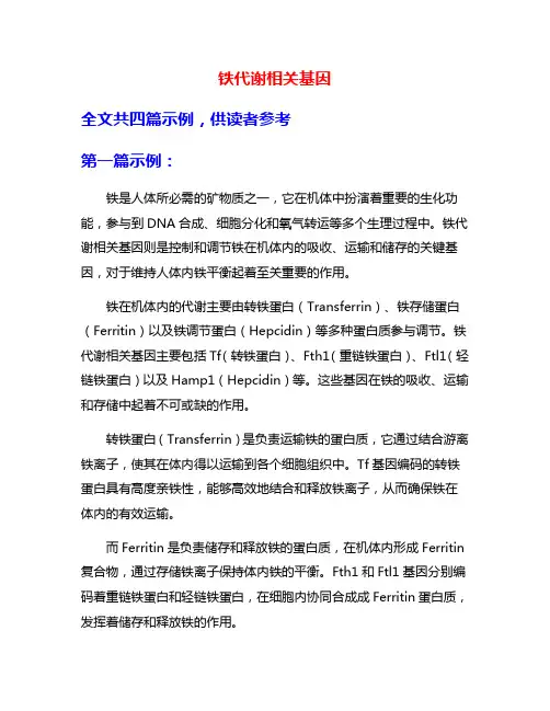 铁代谢相关基因