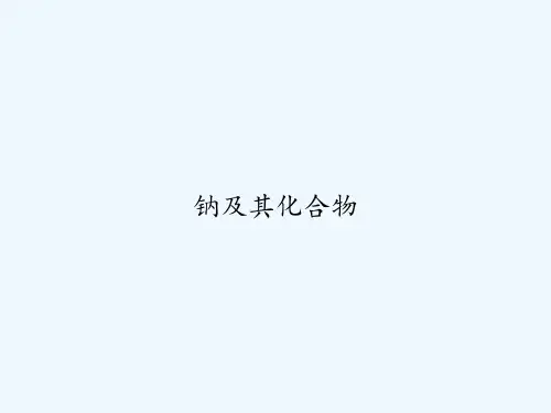 钠及其化合物-PPT