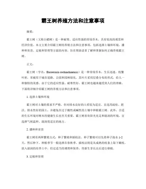 霸王树养殖方法和注意事项