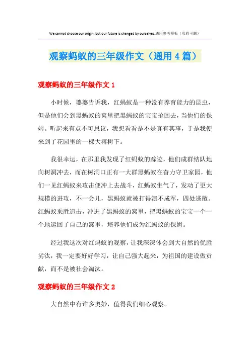 观察蚂蚁的三年级作文(通用4篇)