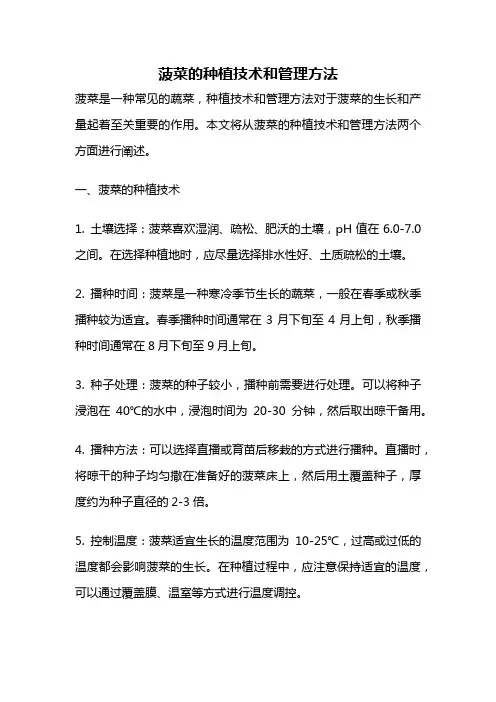 菠菜的种植技术和管理方法