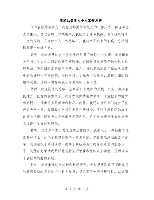 农经站负责人个人工作总结