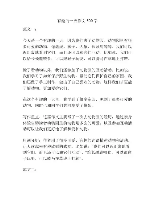 有趣的一天作文500字