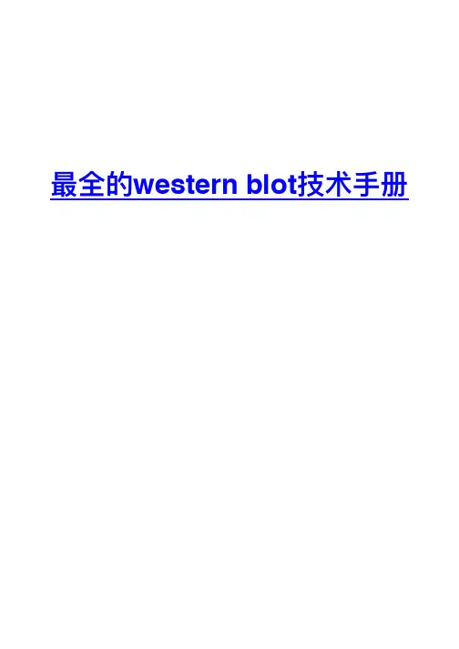 最全的WesternBlot(WB)技术手册