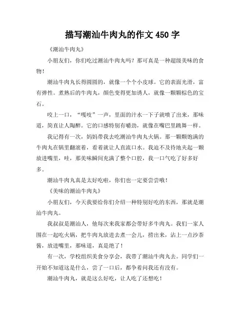 描写潮汕牛肉丸的作文450字