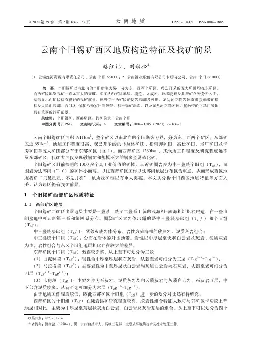 云南个旧锡矿西区地质构造特征及找矿前景