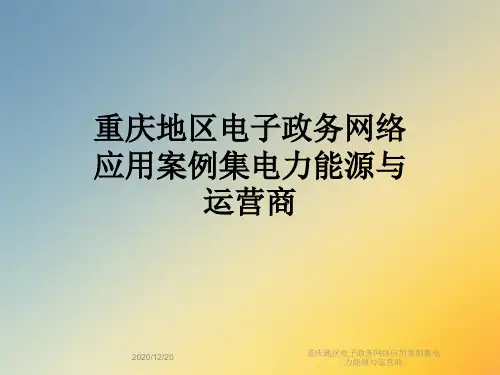 重庆地区电子政务网络应用案例集电力能源与运营商