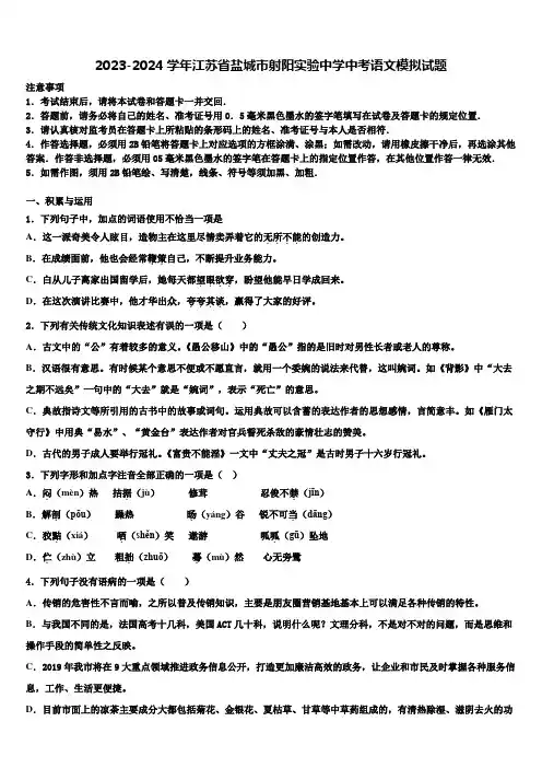 2023-2024学年江苏省盐城市射阳实验中学中考语文模拟试题含解析