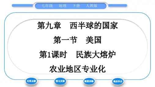 人教版七年级地理下第9章西半球的国家第1节美国第1课时民族大熔炉 农业地区专业化习题课件
