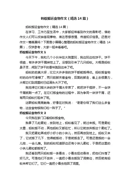 蚂蚁搬运食物作文（精选14篇）
