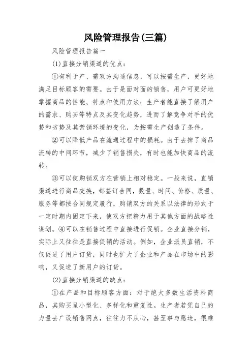 风险管理报告(三篇)