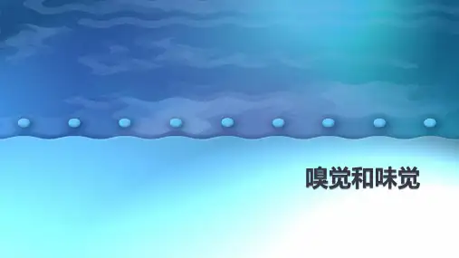 初中科学精品课件：嗅觉和味觉(课件 16张PPT)