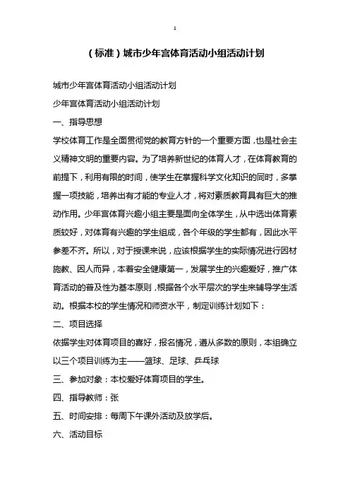 标准城市少年宫体育活动小组活动计划