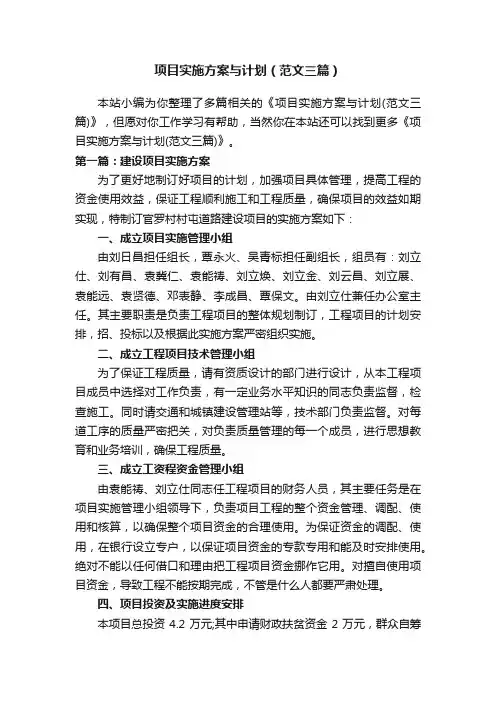 项目实施方案与计划（范文三篇）