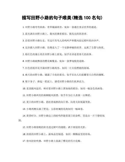 描写田野小路的句子唯美(精选100句)