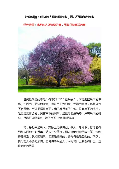 经典感悟：成熟的人做该做的事，而非只做喜欢的事