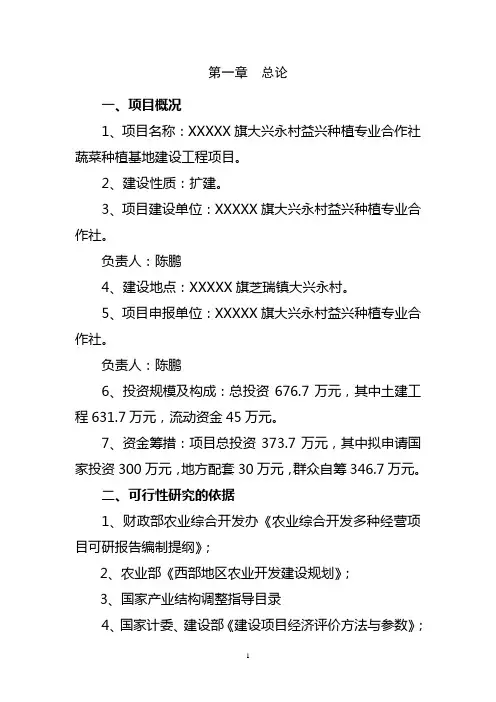蔬菜种植专业合作社基地建设工程项目可行性策划报告