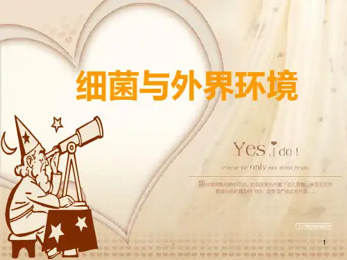 细菌与外界环境PPT课件