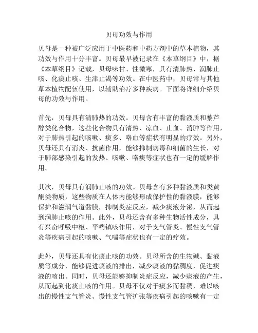 贝母功效与作用