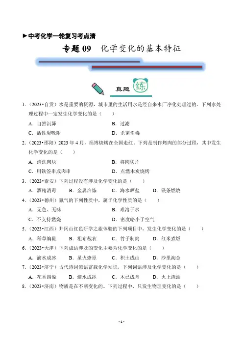 2024年中考化学一轮复习考点清专题09+化学变化的基本特征练习