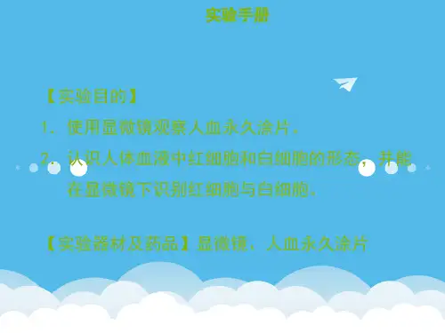 (课件)实验三使用显微镜观察人血永久切片(中考生物实验手册总复习【精校】)