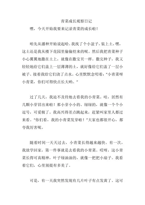 青菜成长观察日记