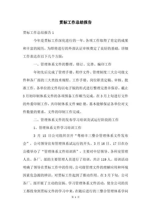 贯标工作总结报告