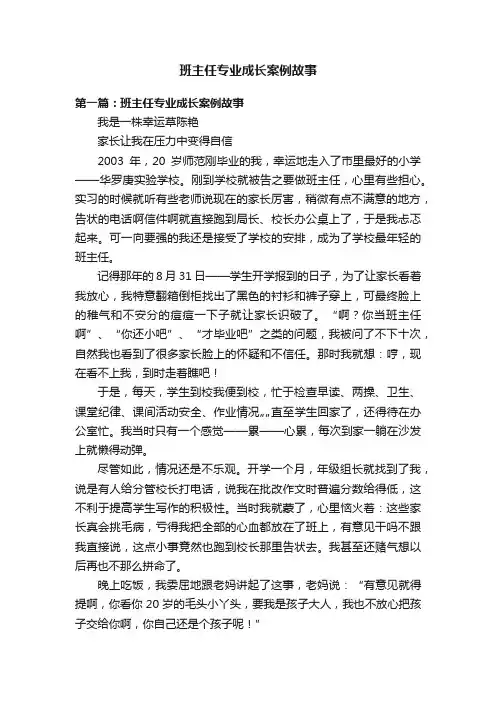 班主任专业成长案例故事