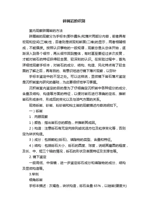 碎屑岩的识别