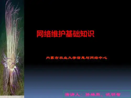 WLZX演示文稿