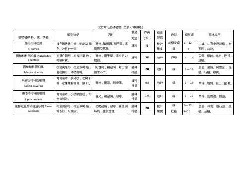 北方常见园林植物一览表格