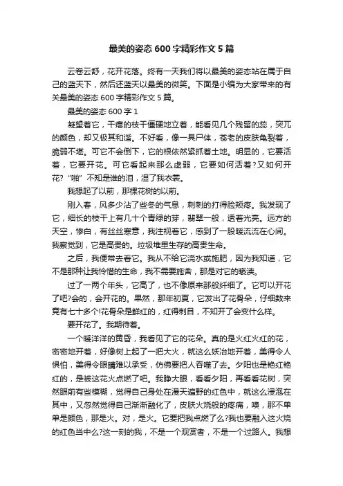最美的姿态600字精彩作文5篇