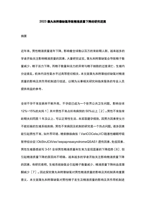 2023睾丸和附睾缺氧导致精液质量下降的研究进展
