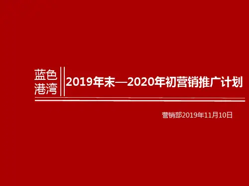 40-2020年初蓝光某项目营销推售方案案