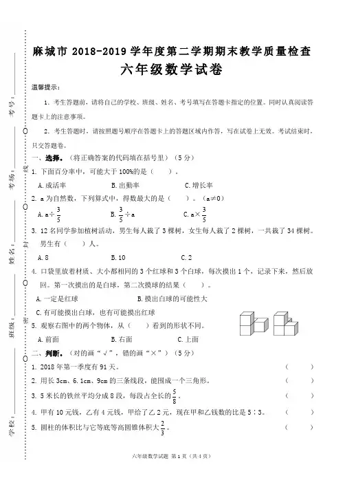 2018-2019学年度第二学期期末教学质量检查六年级数学试卷(湖北麻城市)