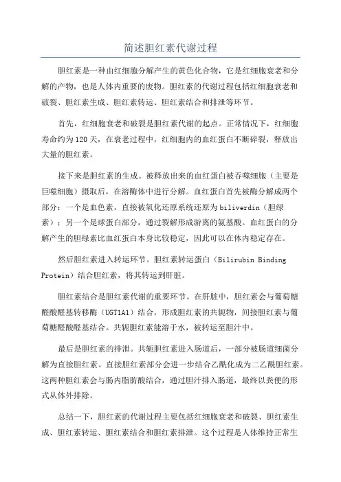 简述胆红素代谢过程