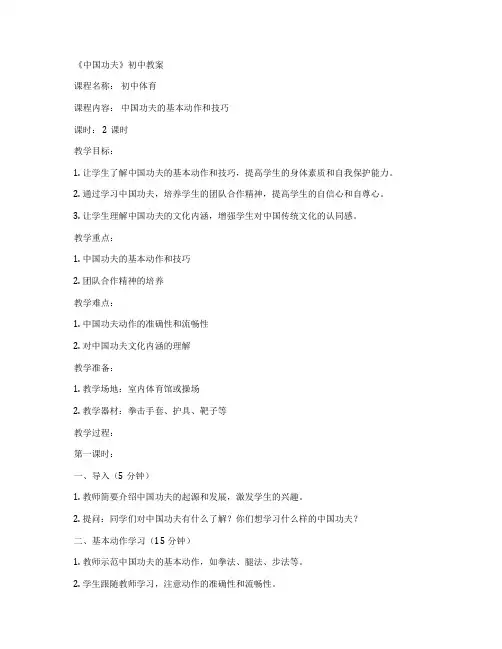 《中国功夫》初中教案