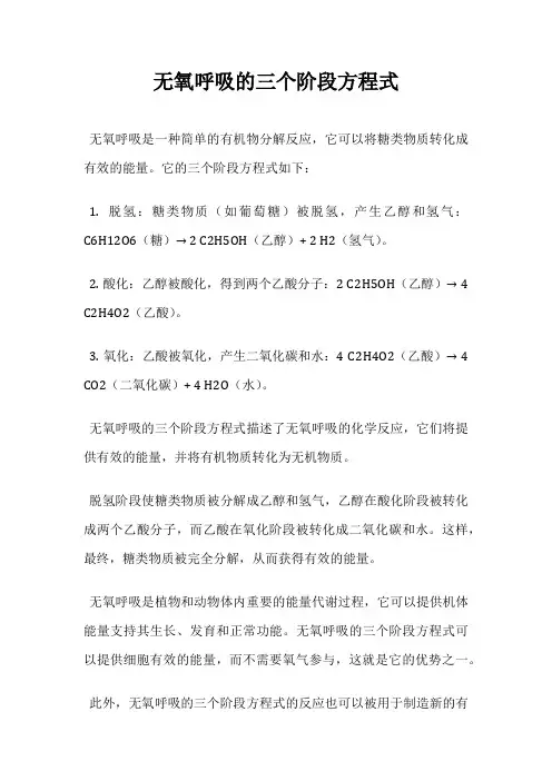 无氧呼吸的三个阶段方程式
