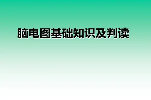 脑电图基础知识及判读