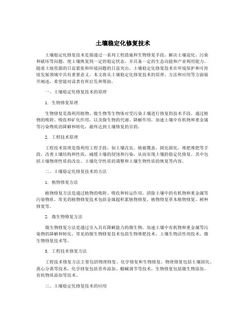 土壤稳定化修复技术